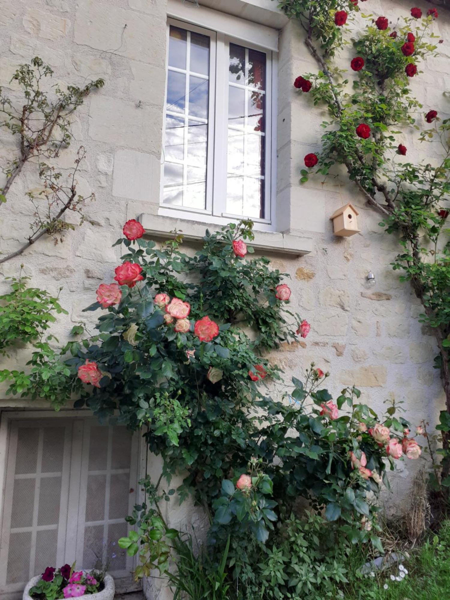 Esprit Troglo Villa Beaumont-en-Véron Exteriör bild